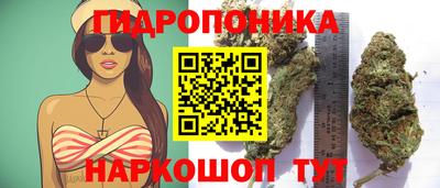 круглые Краснодар