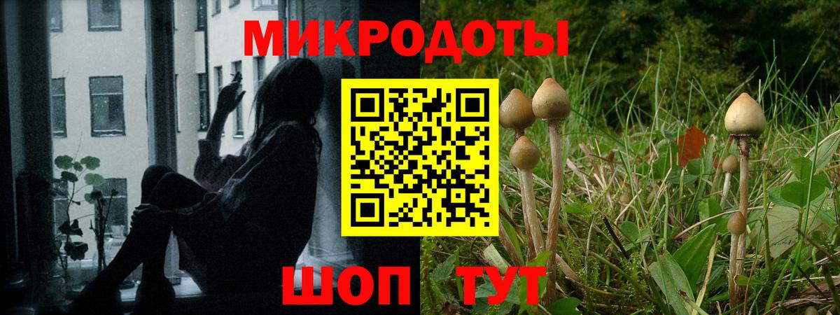 Псилоцибиновые грибы мицелий  Вход с VPN  Валуйки 